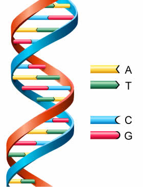 Marketing speaker: Do you have the 'X' gene?