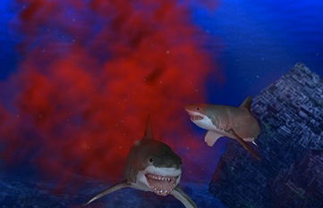 Marketing Coach: Chasing Chum Makes You a Chump