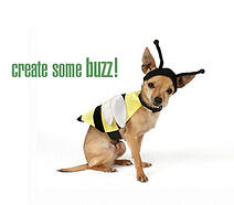 marketing speaker philadelphia motivational speaker