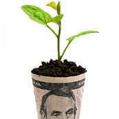 marketing speaker money plant