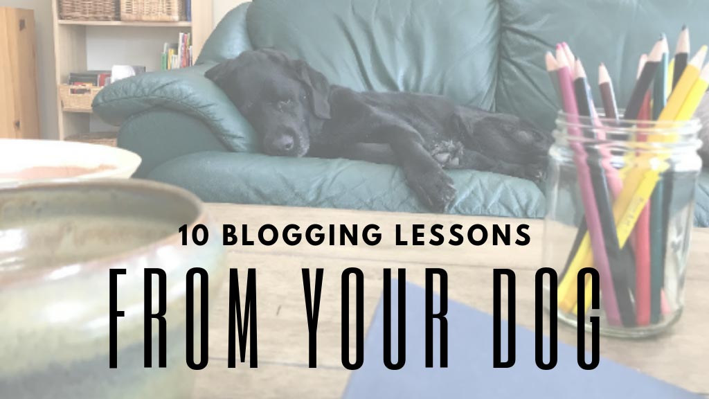 10 Blogging Lessons from Your Dog